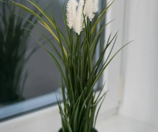 Pensionat Rooms4less