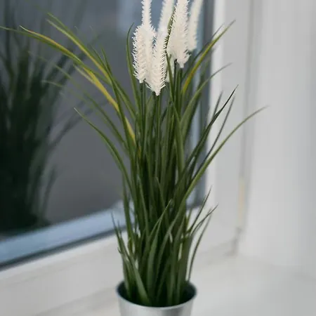 Affittacamere Rooms4less